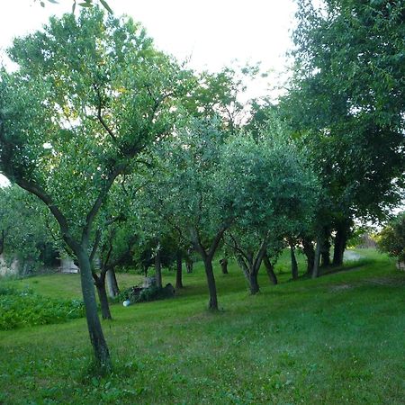 Agriturismo Lupo Bianco Монцамбано Экстерьер фото