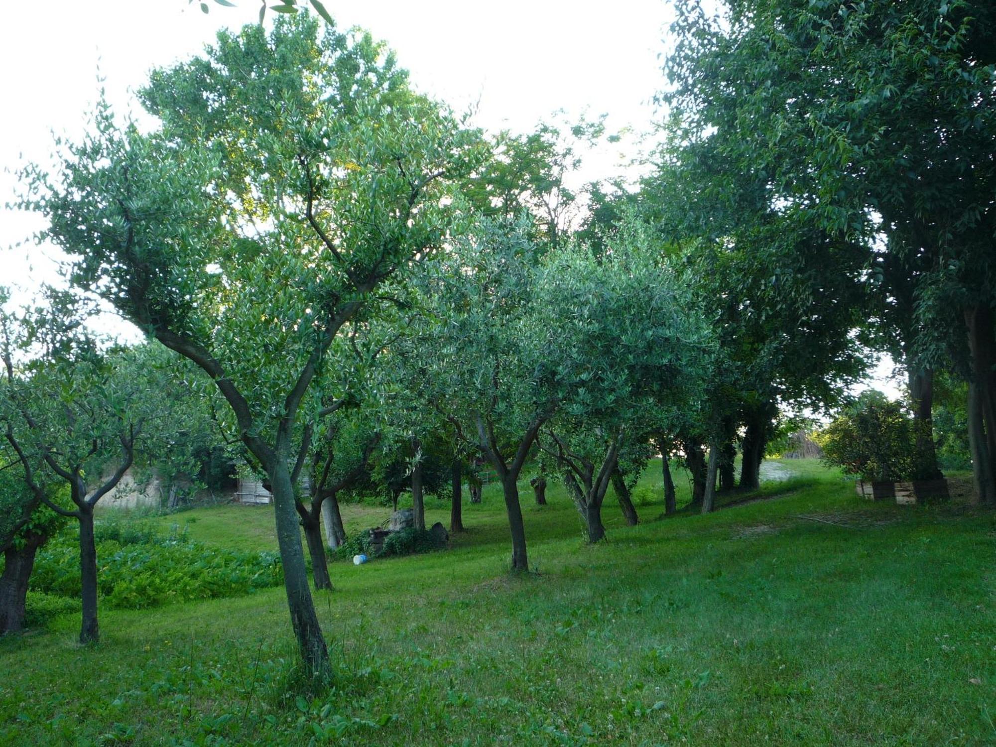 Agriturismo Lupo Bianco Монцамбано Экстерьер фото
